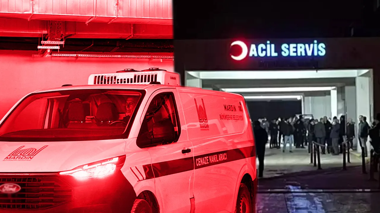 BABA VE AĞABEY GÖZALTINDA