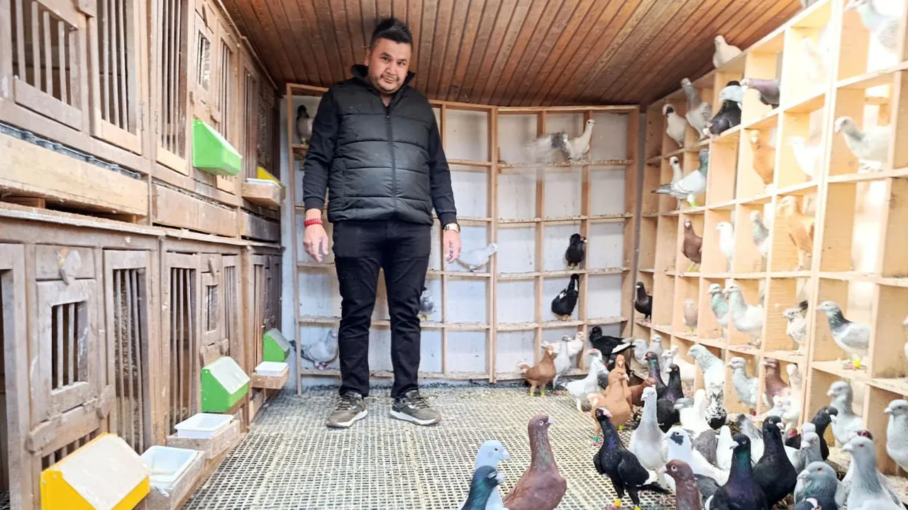 Memurluğu bırakıp bu işe girdi! Tanesini 1 milyon liraya satıyor