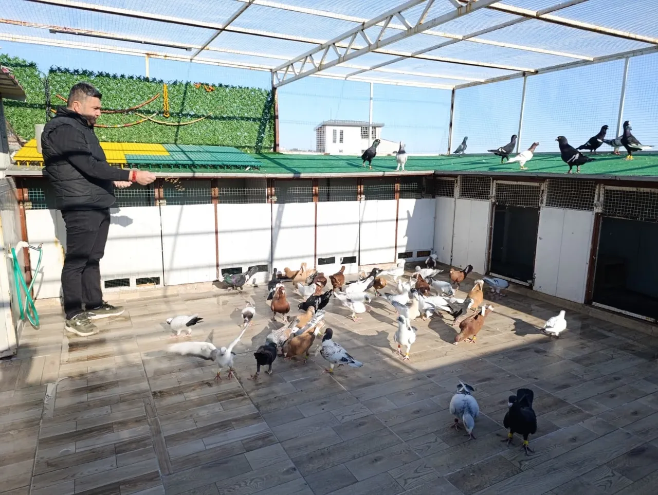 Memurluğu bırakıp bu işe girdi! Tanesini 1 milyon liraya satıyor