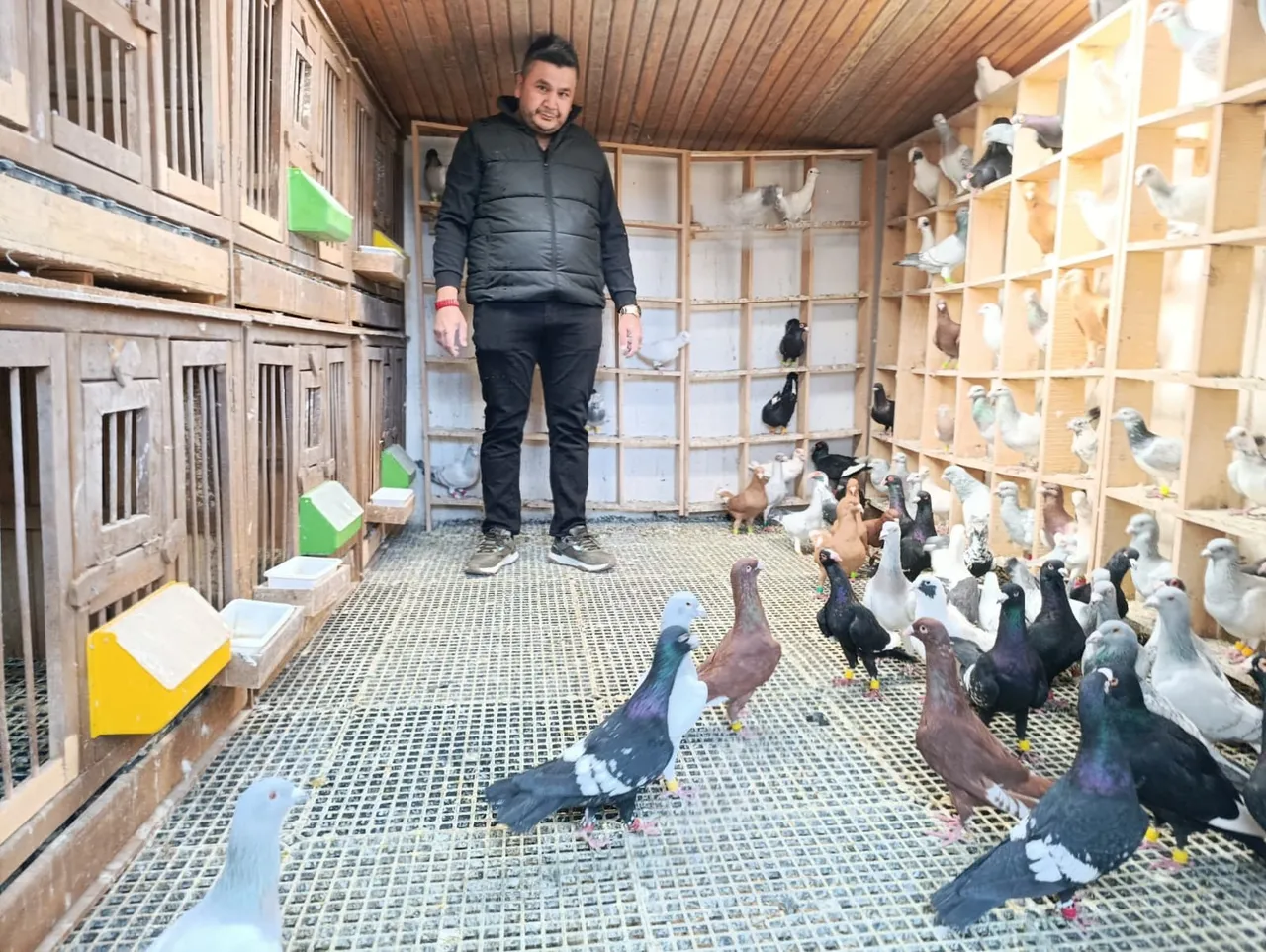 Memurluğu bırakıp bu işe girdi! Tanesini 1 milyon liraya satıyor