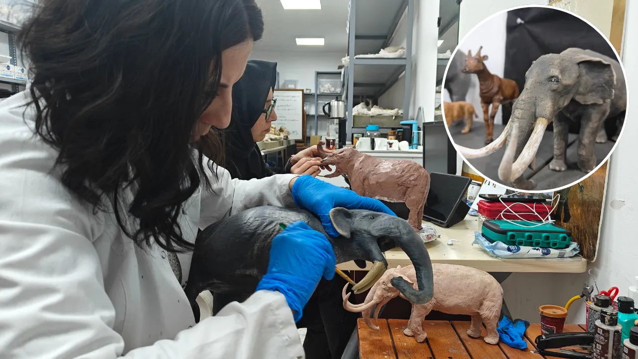 3D yazıcıdan 7,7 milyon yıllık miras: Asırlar öncesine ait fosiller minyatürleştiriliyor