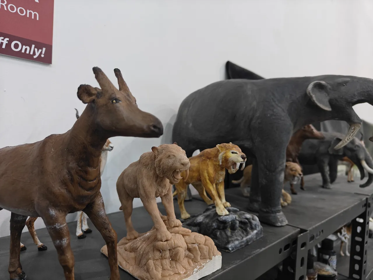 3D yazıcıdan 7,7 milyon yıllık miras: Asırlar öncesine ait fosiller minyatürleştiriliyor