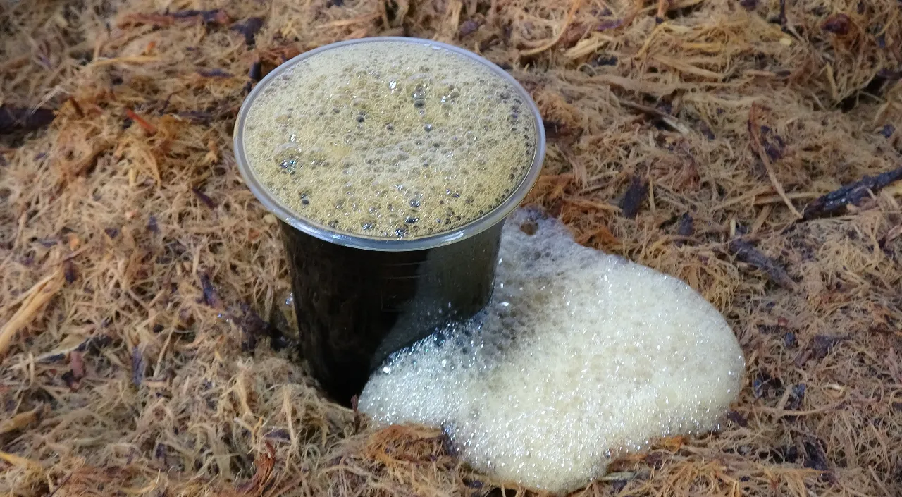 Faydaları saymakla bitmiyor: İftar sofralarının vazgeçilmezi meyan şerbeti 