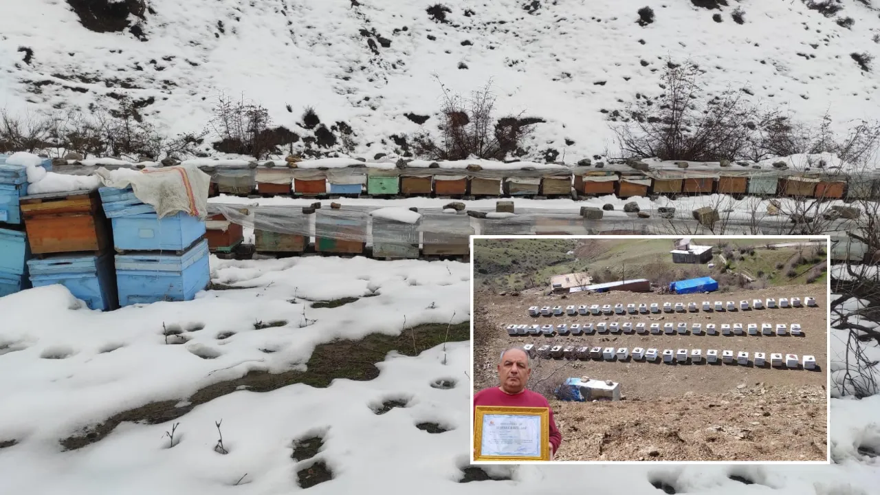 Şampiyon arılara 'vefa' nöbeti: Tescilli kalite dondurucu soğuklara direniyor