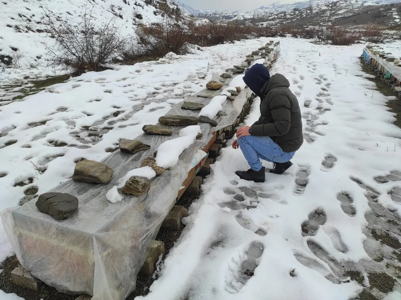 Şampiyon arılara vefa nöbeti: Tescilli kalite dondurucu soğuklara direniyor