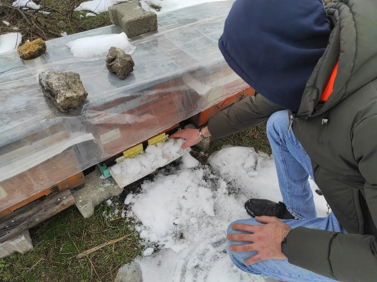 Şampiyon arılara vefa nöbeti: Tescilli kalite dondurucu soğuklara direniyor