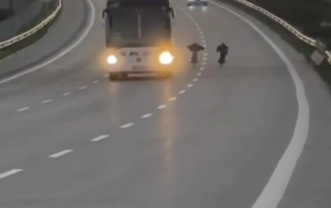 Sosyal medyada paylaşılan yarış pahalıya patladı: 430 bin TL ceza yediler