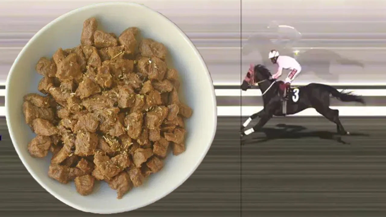 HAYIR ŞERRE DÖNDÜ!