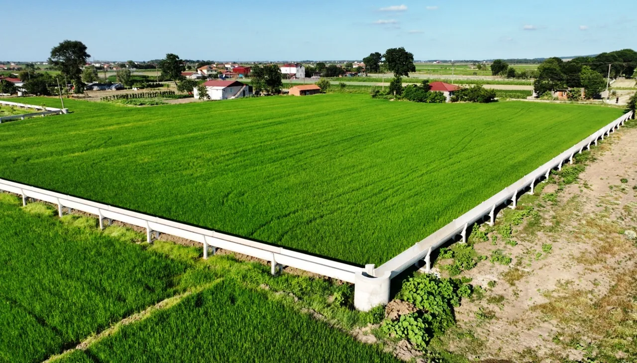 Bafra Ovasına 2.4 milyar liralık yatırım! 2 ilçe ve 14 mahalle faydalanacak