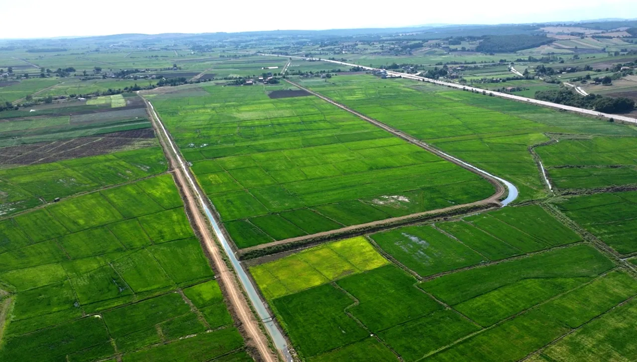 Bafra Ovasına 2.4 milyar liralık yatırım! 2 ilçe ve 14 mahalle faydalanacak