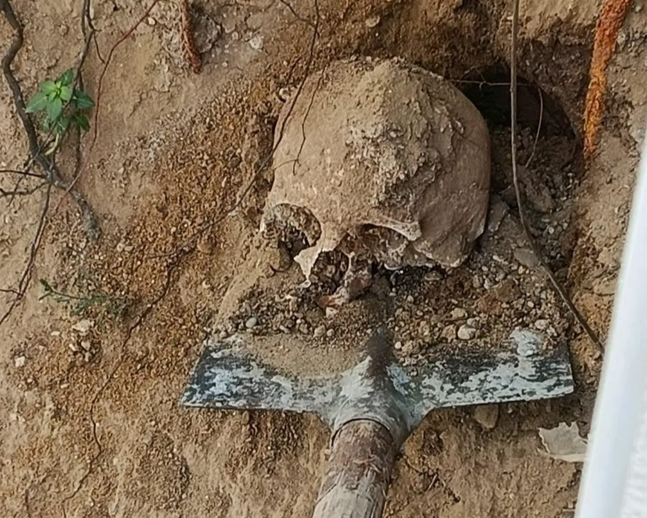 Bahçede ortaya çıkanlar polisi harekete geçirdi! Gerçek sonradan ortaya çıktı