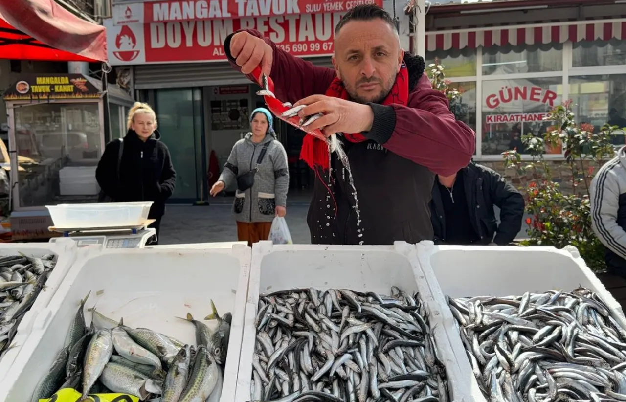 Tezgahların en ucuz balığı! Hamsi yok satıyor
