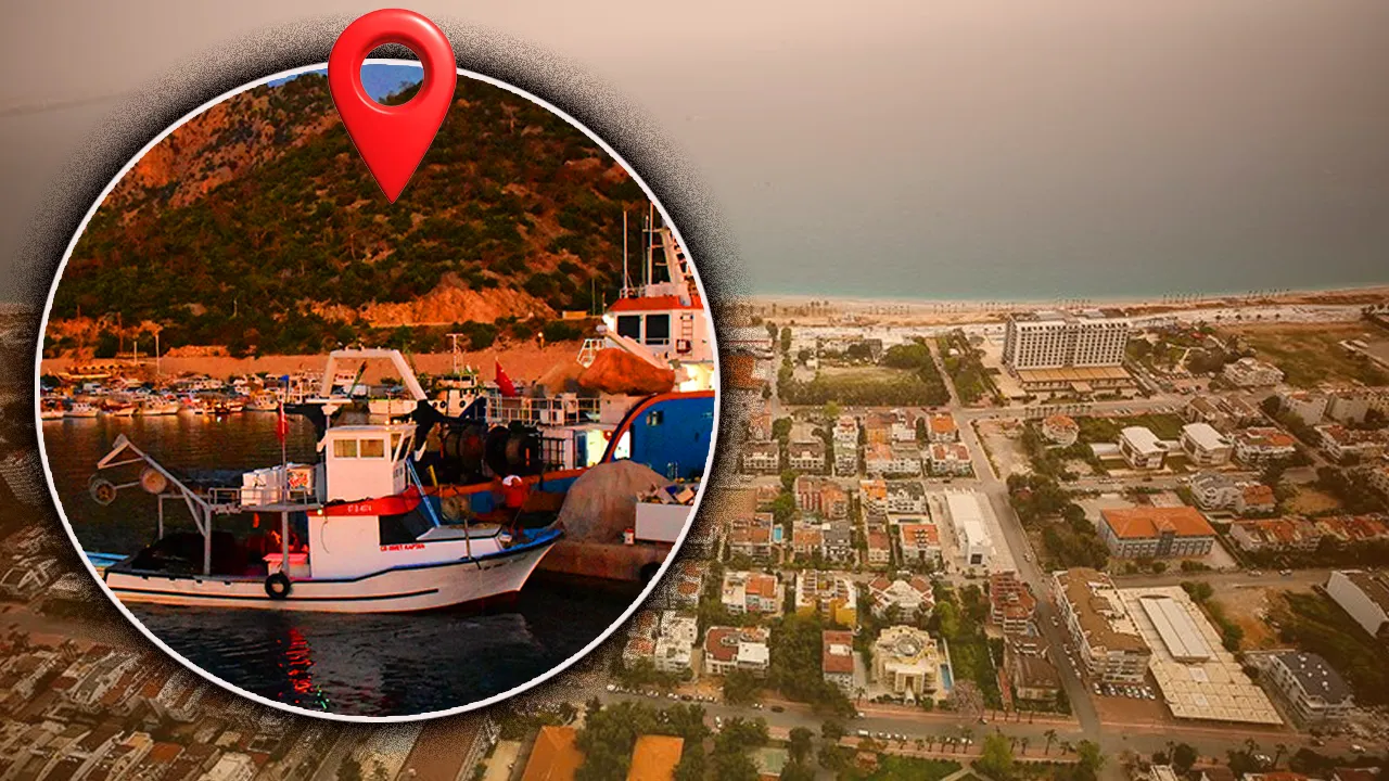 Kızıldeniz’den gelip Antalya’yı sardı, yüzlerce var! 5 metrekareye bir tane düşüyor