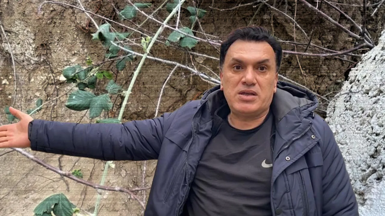 Kocaeli'de fidan dikerken ortaya çıkardılar: Mahalleli korkudan dışarı çıkamıyor