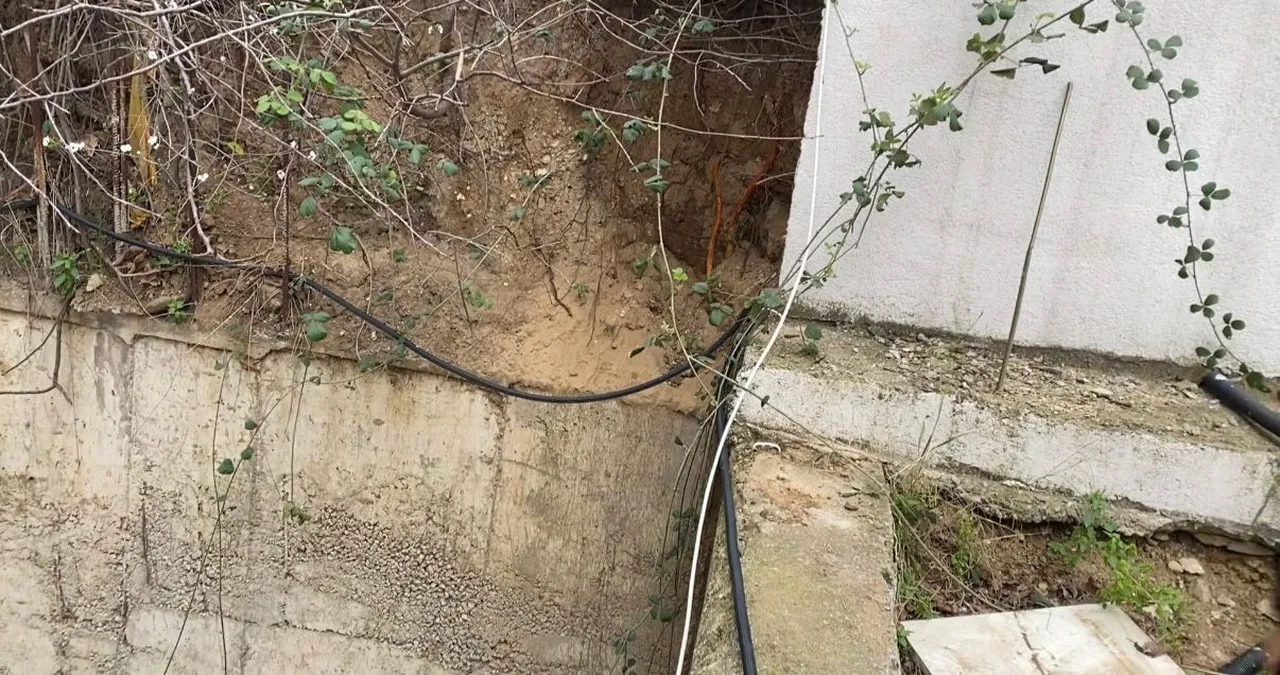 Kocaeli'de fidan dikerken ortaya çıkardılar: Mahalleli korkudan dışarı çıkamıyor