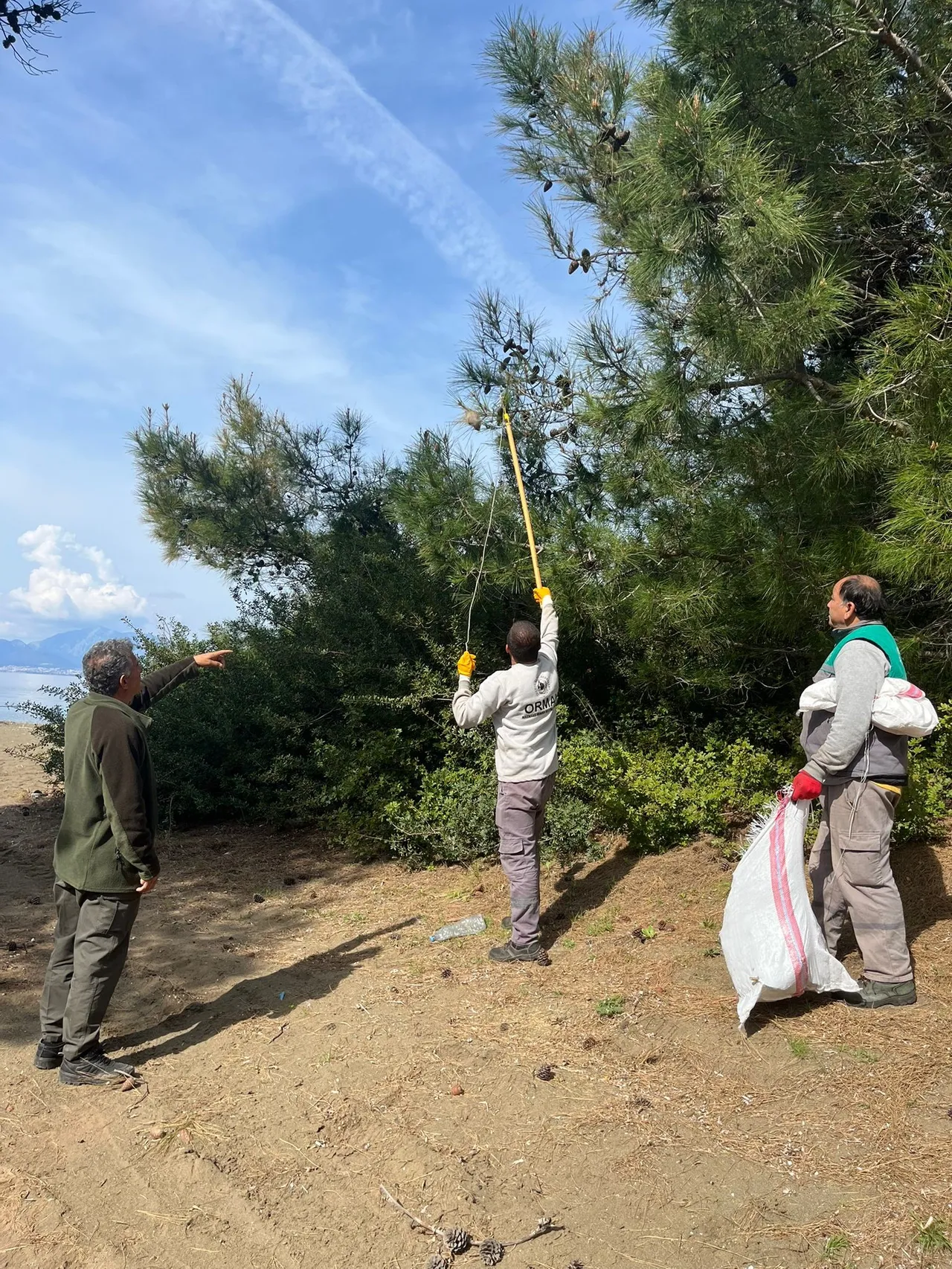 Marmara ve Akdeniz’in kabusu şimdi de Ege’de! Dokunanı öldürebilir
