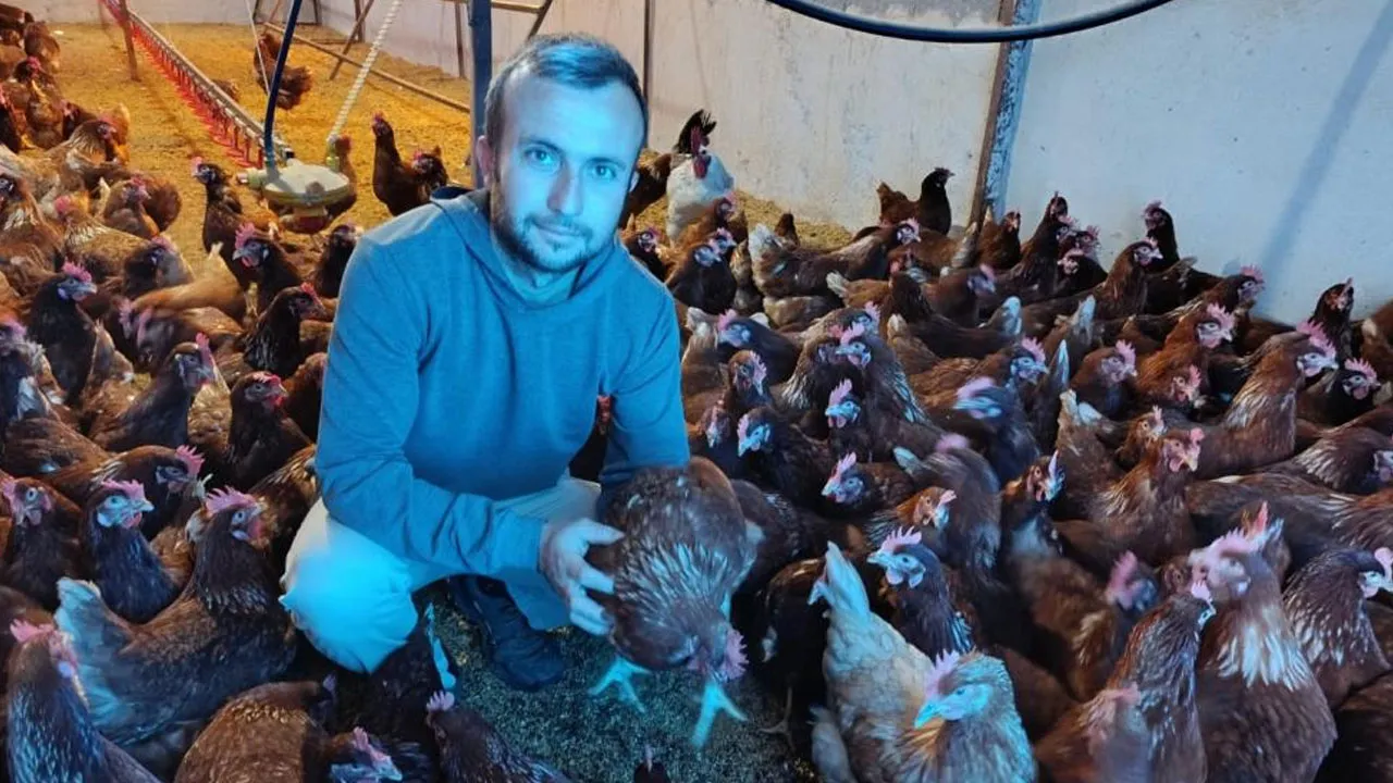 50 tavukla başladı, 400 çıktı! Kira ödemekten bıkınca hayatının fırsatını yakaladı