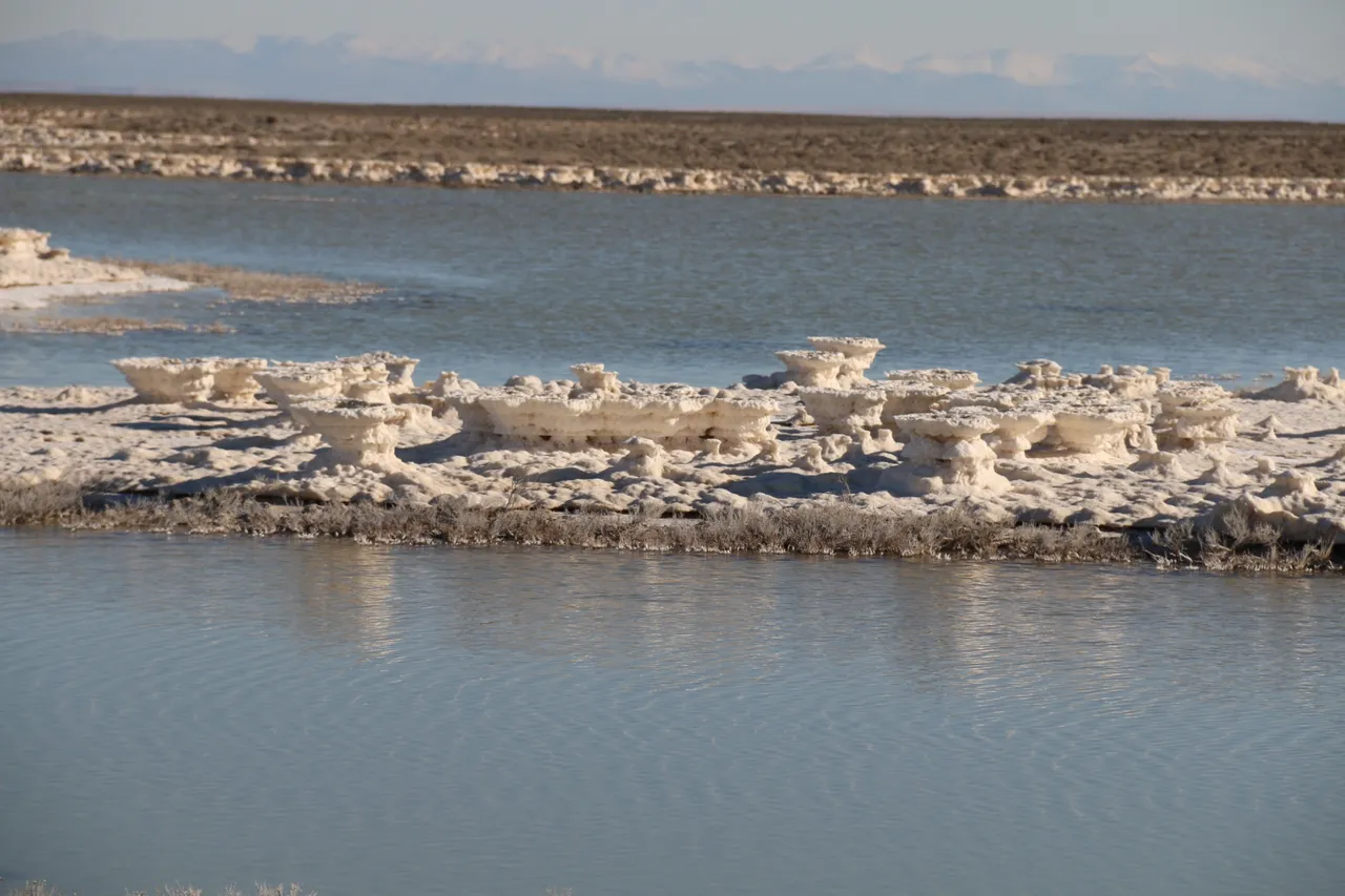 90 yılda yüzde 85 küçülen Tuz Gölü’nde umutlar yeniden yeşerdi!