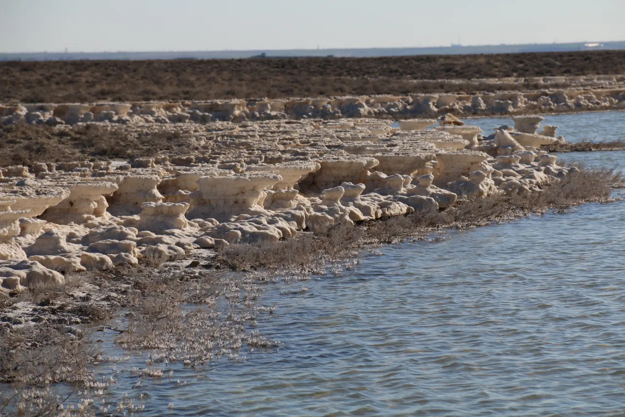 90 yılda yüzde 85 küçülen Tuz Gölü’nde umutlar yeniden yeşerdi!