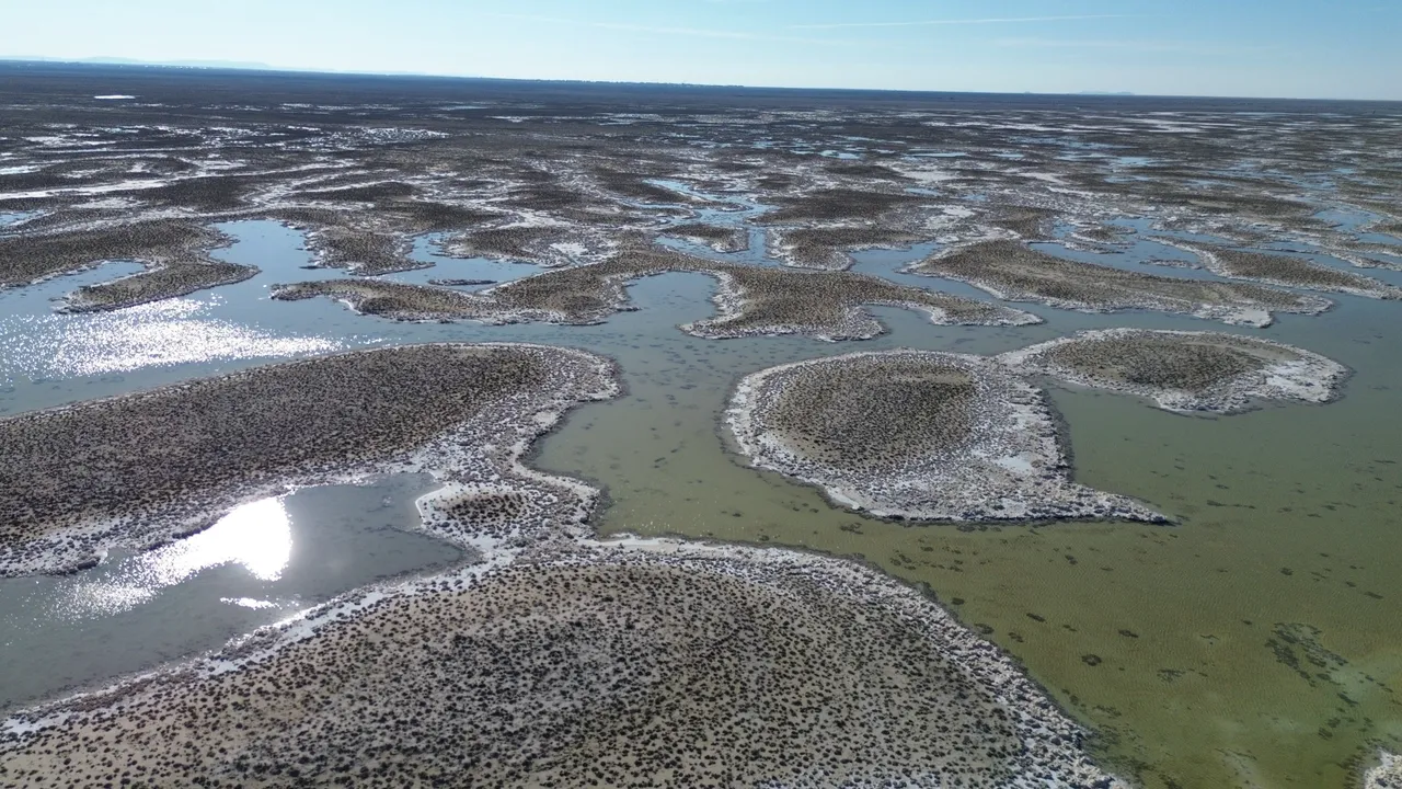 90 yılda yüzde 85 küçülen Tuz Gölü’nde umutlar yeniden yeşerdi!