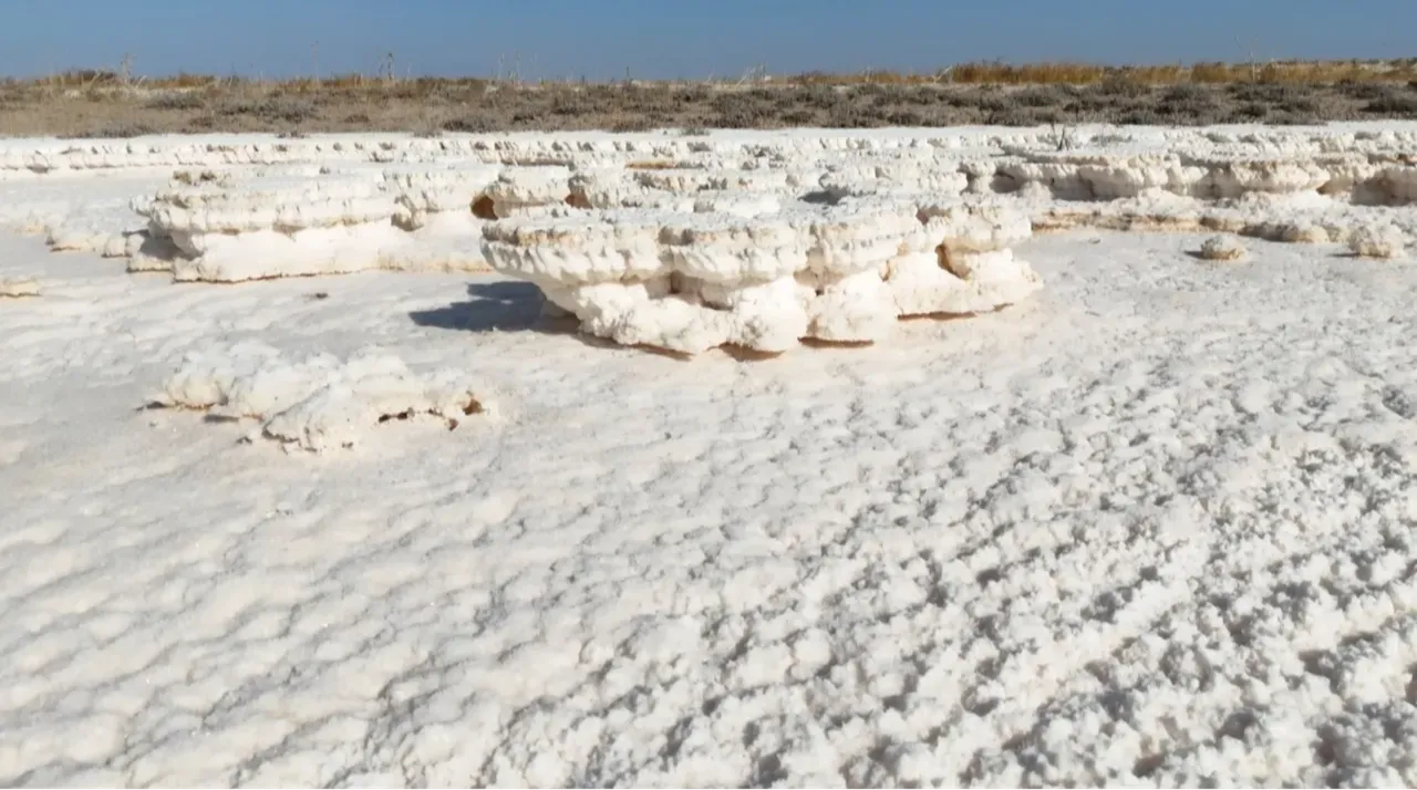 90 yılda yüzde 85 küçülen Tuz Gölü’nde umutlar yeniden yeşerdi!
