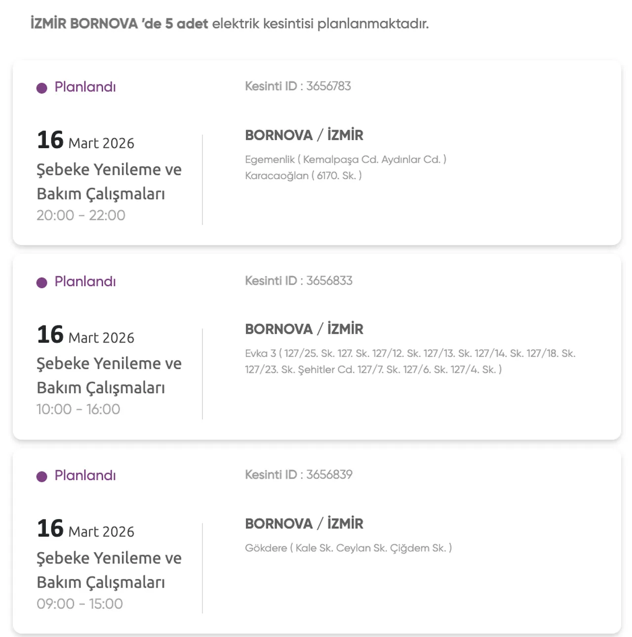 Gediz Elektrik 16-17 Mart listesi! İzmir elektrik kesintisi ne zaman bitecek?