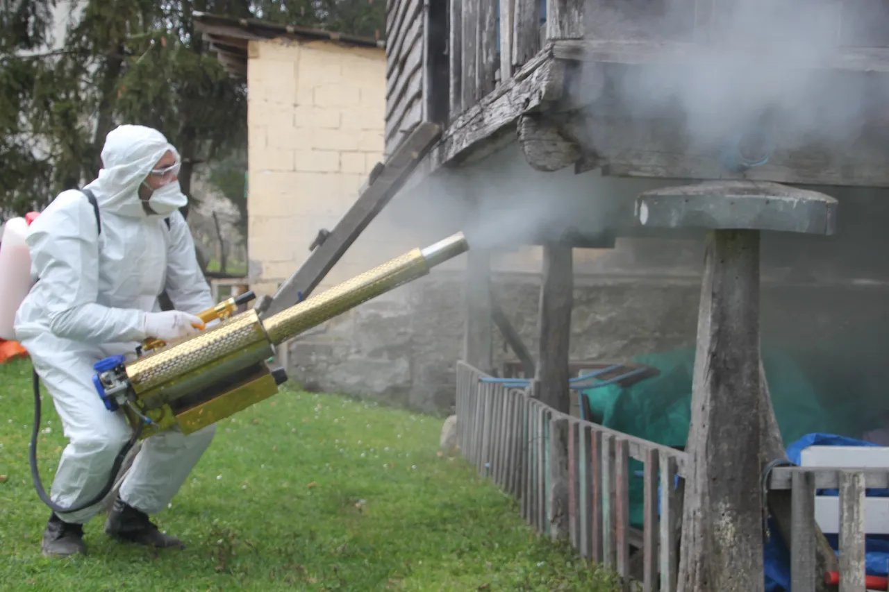 Karadeniz’i istila etti! Tek seferde 200 yumurta bırakıyor, 190 bin nokta ilaçlandı