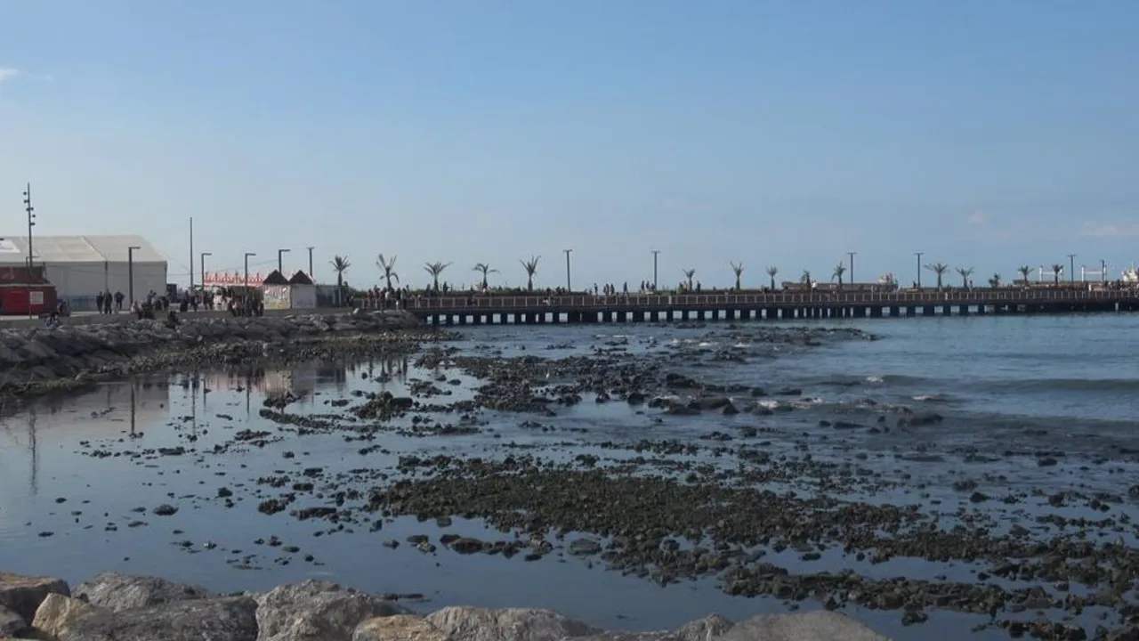 Hatay'da deniz 10 metre çekildi! Haberi duyanlar sahile akın etti
