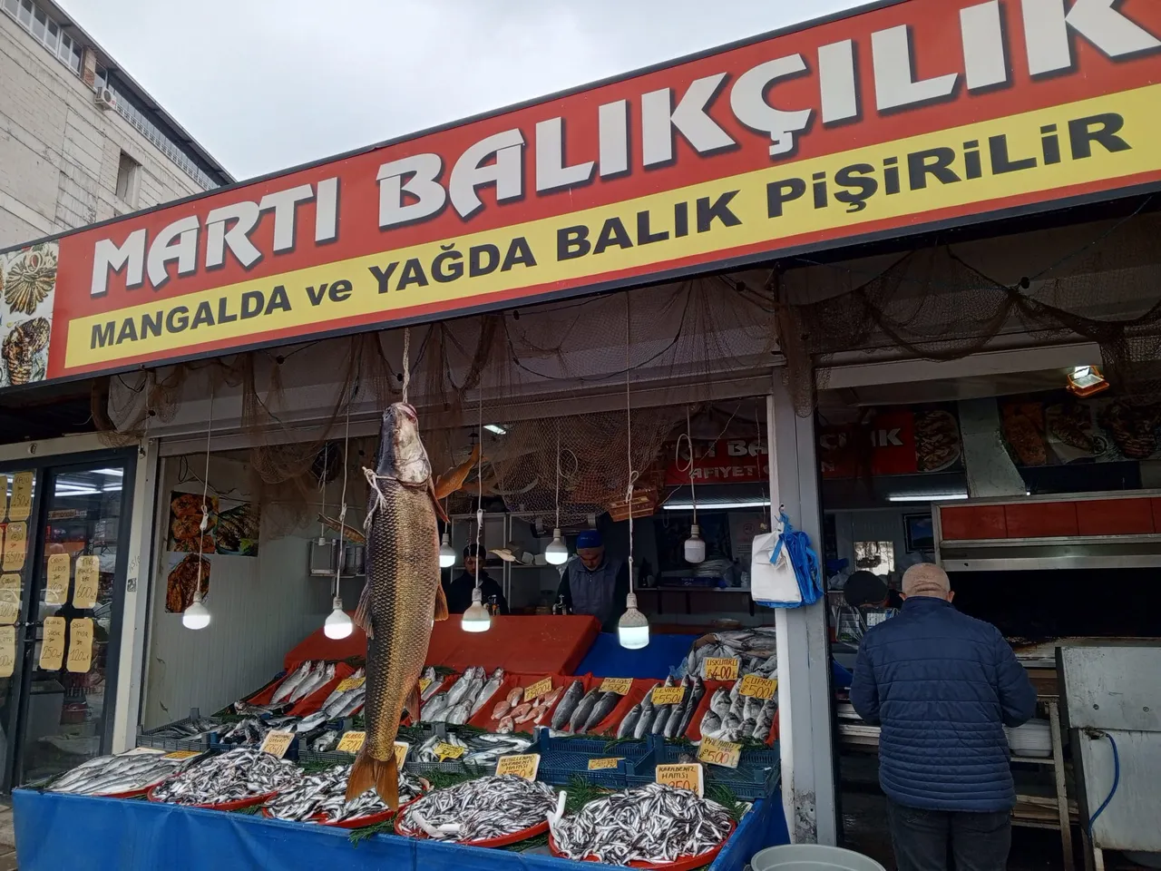 Malatyada yakalandı! 42 kiloluk balık büyük ilgi gördü
