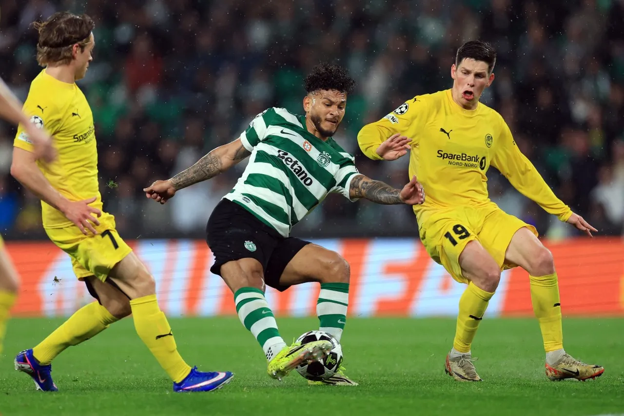 Sporting Lizbon - Bodo/Glimt