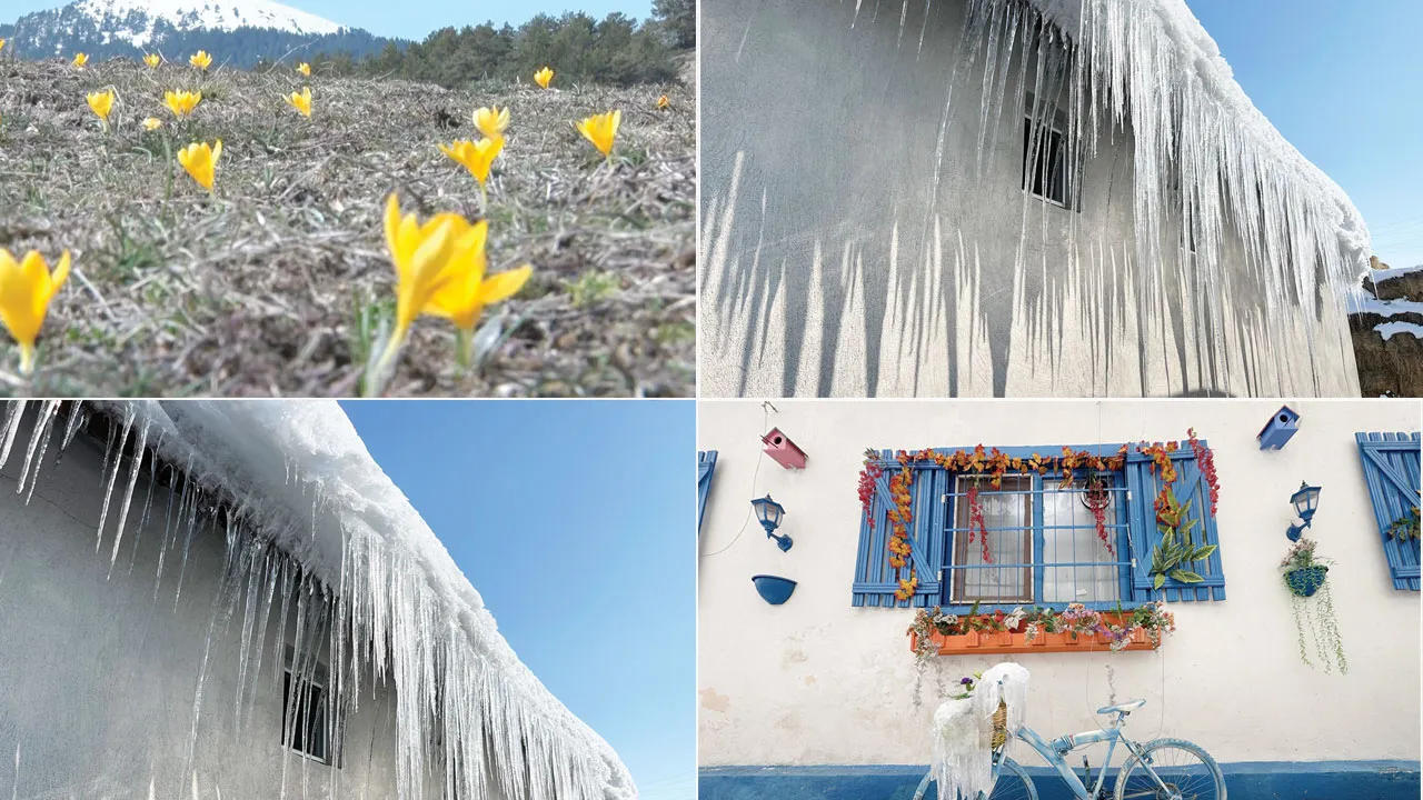 Türkiye yedi bölge dört mevsim: Bir yanda bahar diğer yanda kar