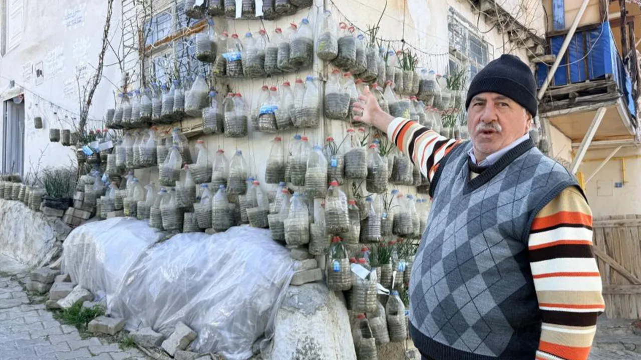 Bahçesiz çözüm: Duvarında yetiştiriyor, komşularına ücretsiz dağıtıyor
