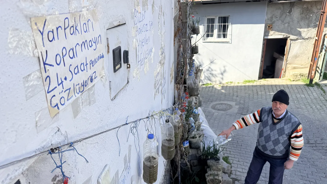 Bahçesiz çözüm: Duvarında yetiştiriyor, komşularına ücretsiz dağıtıyor