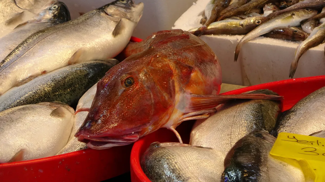 Kilosu 150 TL! İşte tezgahların en ucuz balığı