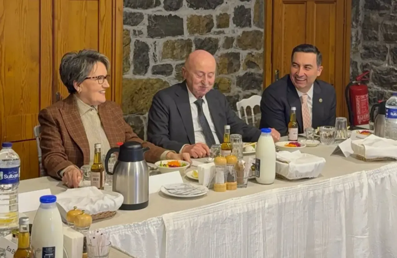 Meral Akşener'den 'siyaset' sorusuna dikkat çeken cevap!