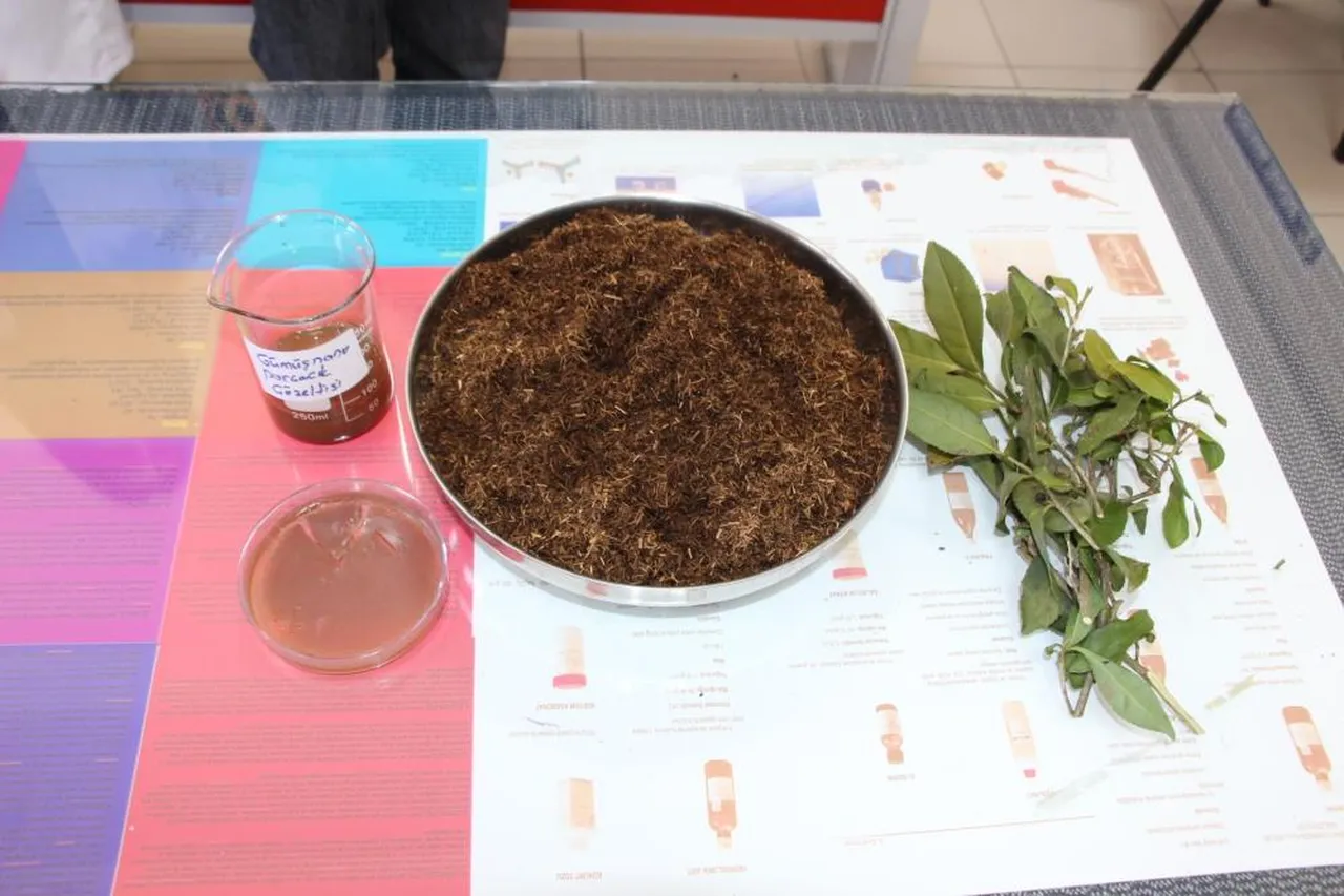 Yılda 83 bin ton oluşuyordu! Çay atığından antibakteriyel ürün geliştirildi