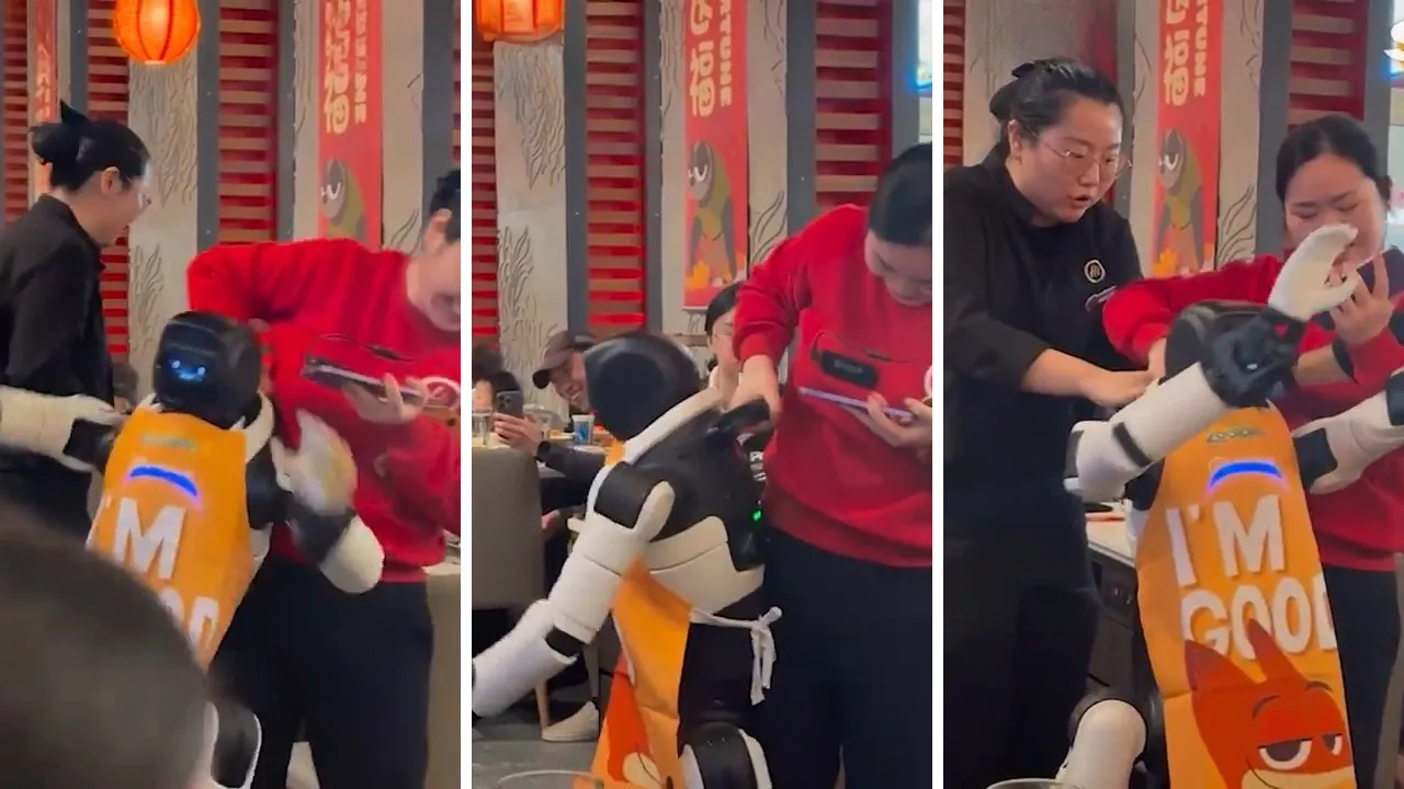 ABD'de restoranda ilginç anlar: Dans eden robot hızını alamadı, ortalık savaş alanına döndü