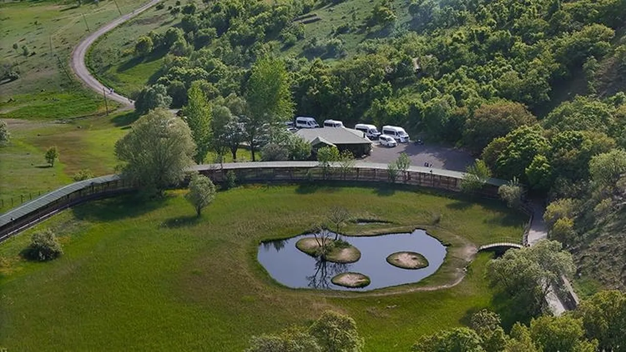Bunu yapan 3 yıl hapis cezası alacak! Milli parklarda yeni dönem