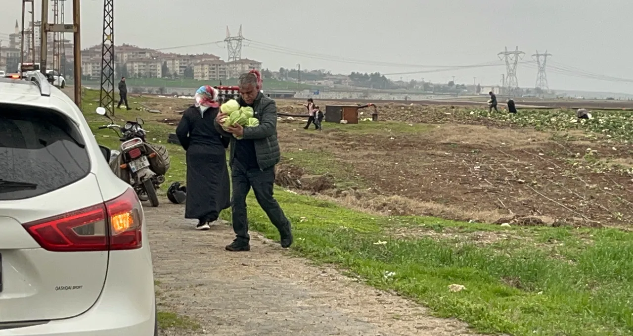 Çiftçi 'bedava' dedi, herkes oraya akın etti! Poşetler, çuvallar, bagajlar doldu taştı