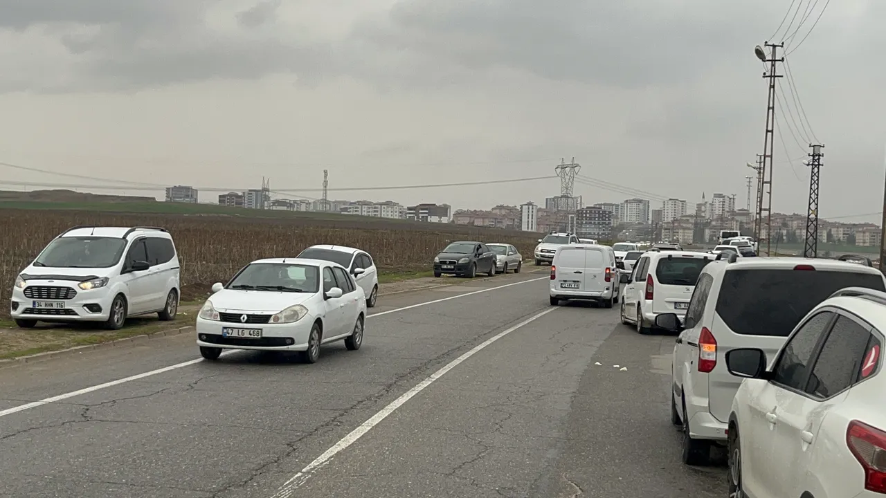 Çiftçi bedava dedi, herkes oraya akın etti! Poşetler, çuvallar, bagajlar doldu taştı