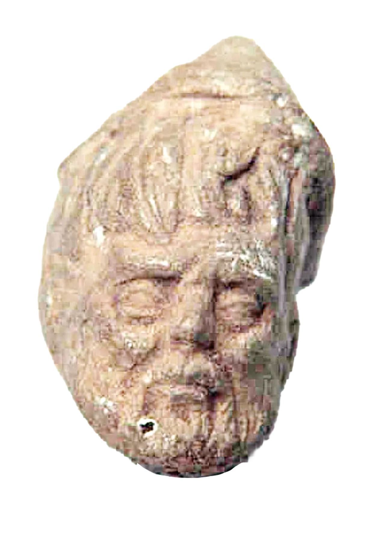 Hani Amerika'yı Kristof Kolomb keşfetmişti? Meksika’da 1.800 yıllık Roma eseri bulundu