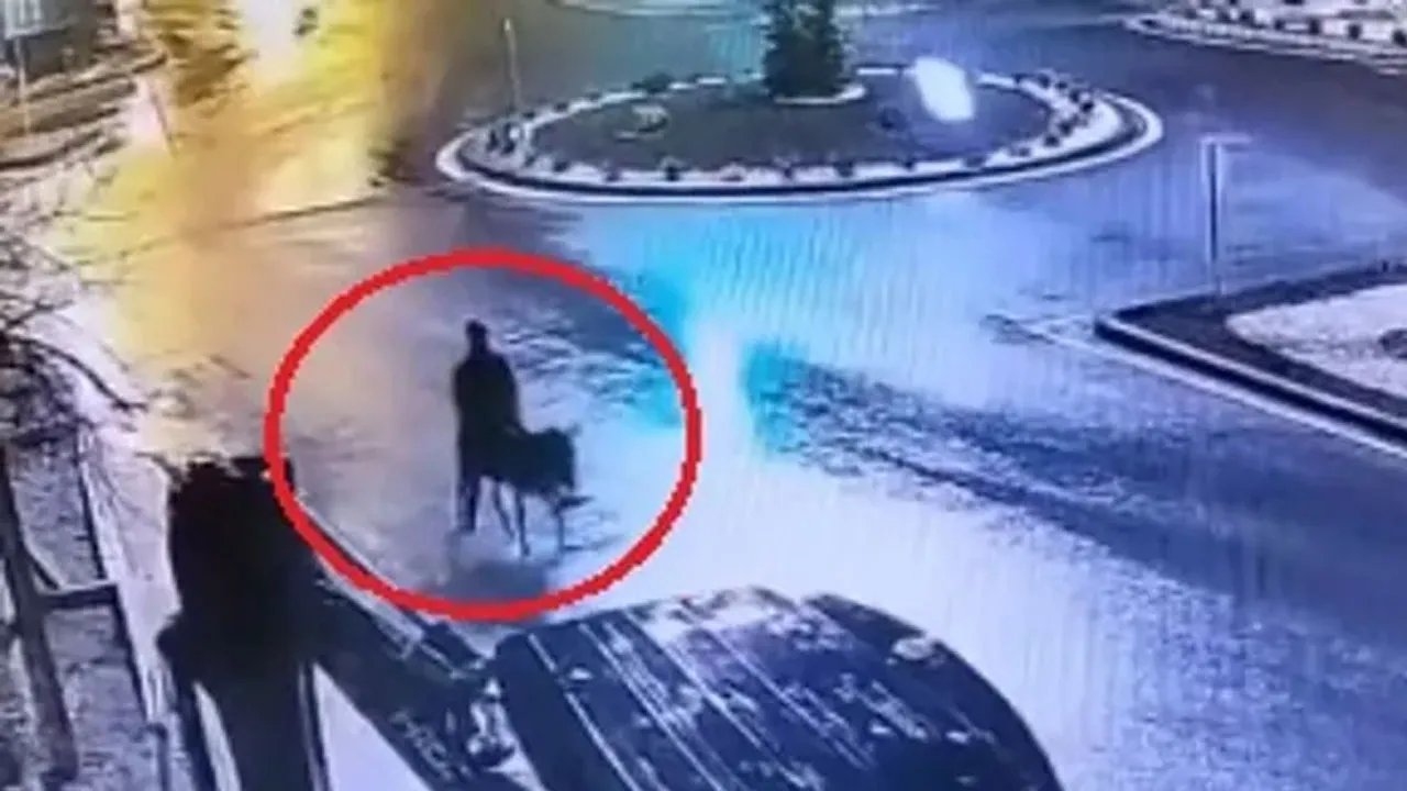 Kuyumcuyu soyup eşekle kaçtı! Pes dedirten hırsızlık olayında istenilen ceza belli oldu 