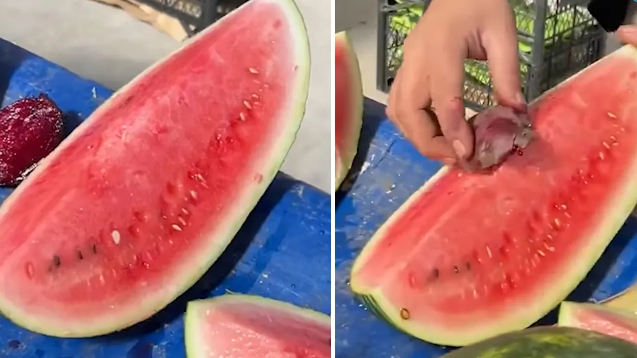 Pazarcıdan pes dedirten hile! Karpuzu daha kırmızı göstermek için yaptığı tepki çekti