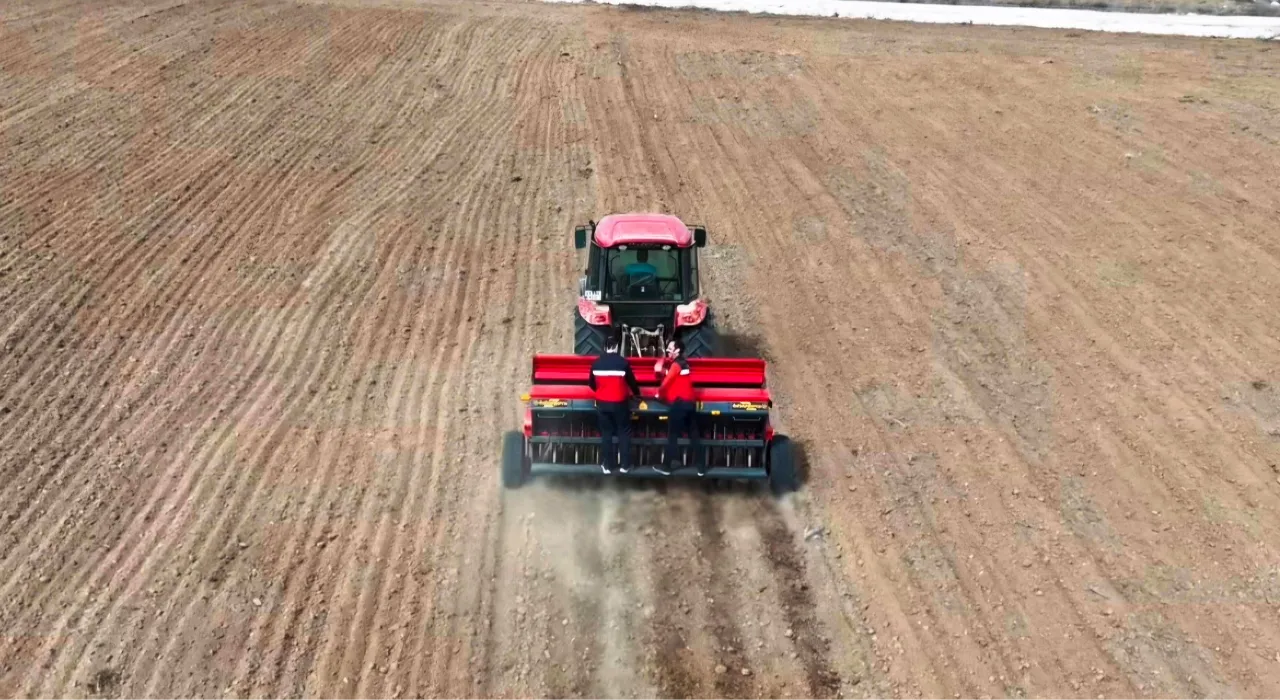 Tohumlar yüzde 50 hibeyle çiftçiye dağıtıldı! 2.500 dekar alana ekilecek 