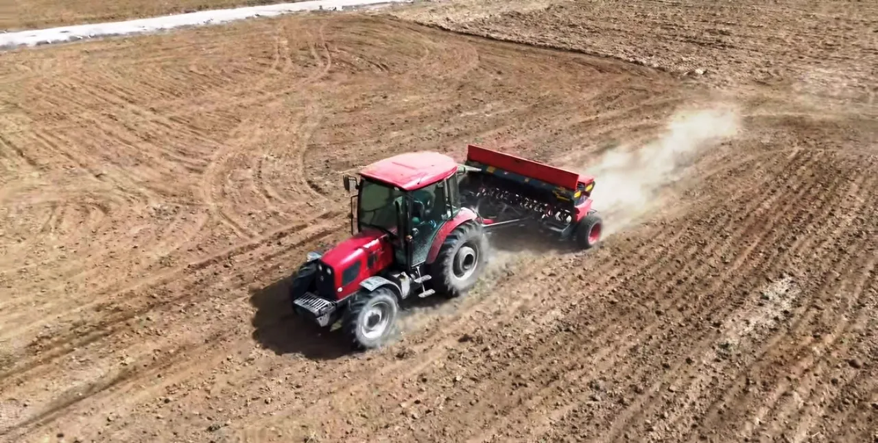 Tohumlar yüzde 50 hibeyle çiftçiye dağıtıldı! 2.500 dekar alana ekilecek