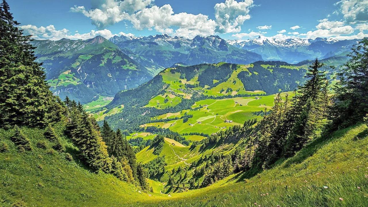 Sabır İnsana Mahsustur