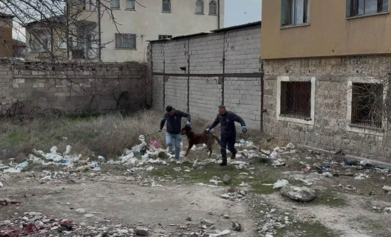 Başıboş köpek dehşeti! 3 yaşındaki çocuk ağır yaralı
