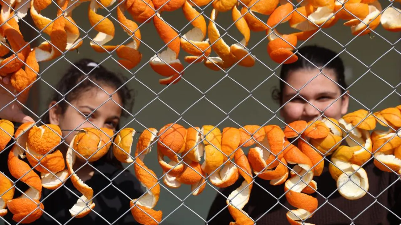 Dalda kalan limon ve turunç kabukları nakite dönüşüyor! 65 TL'den satıyorlar