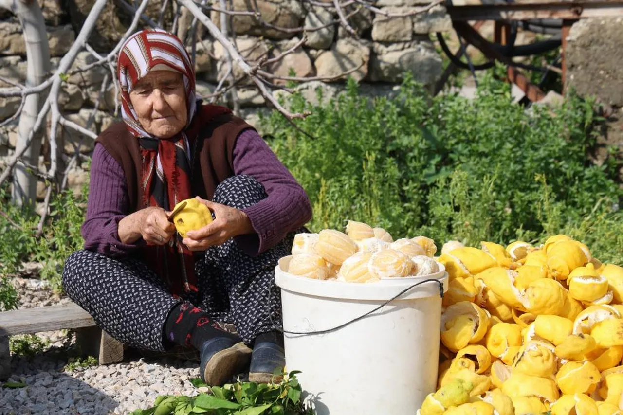 Dalda kalan limon ve turunç kabukları nakite dönüşüyor! 65 TL'den satıyorlar