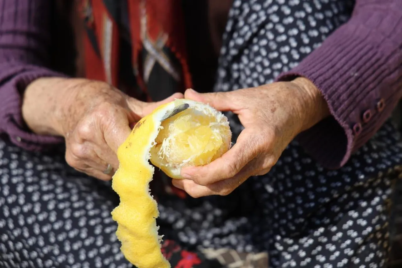 Dalda kalan limon ve turunç kabukları nakite dönüşüyor! 65 TL'den satıyorlar